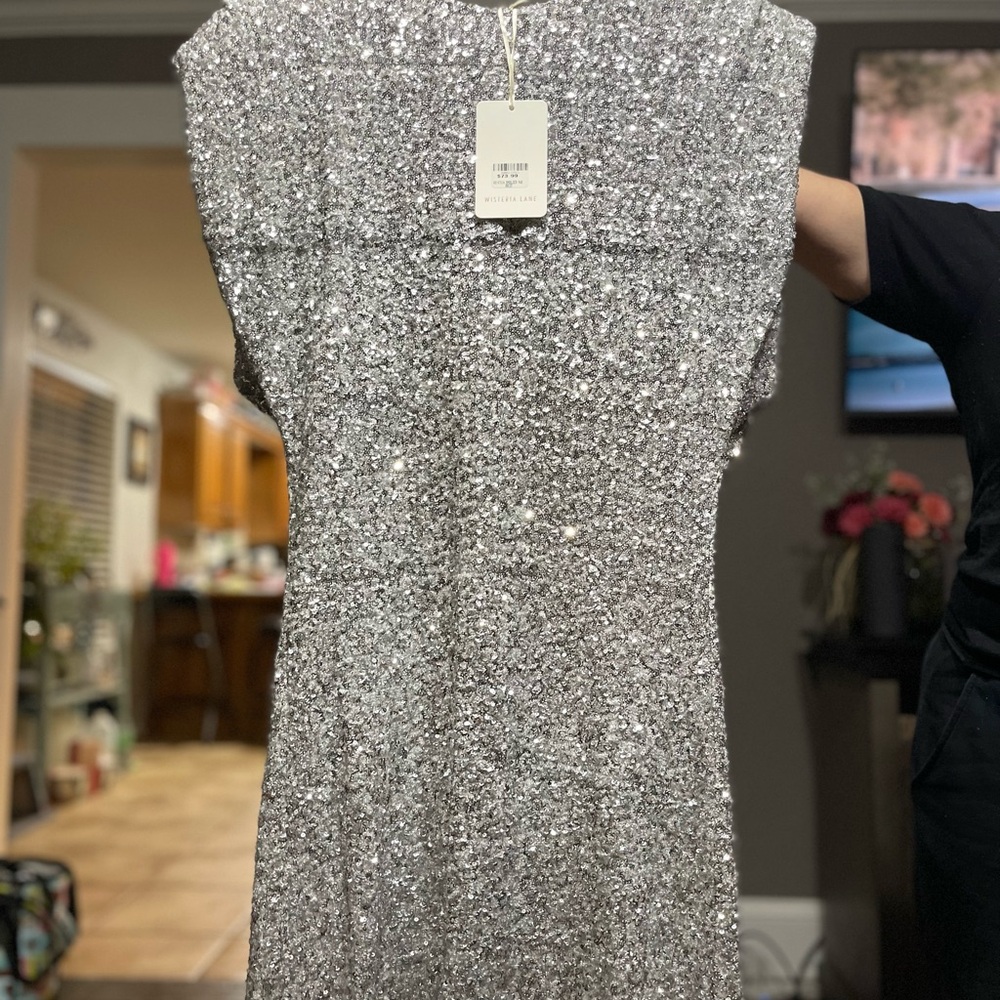 Elegant Silver Sequin Dress